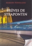 Brèves de strapontin